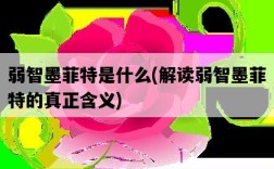 弱智墨菲特是什么，解讀弱智墨菲特的真正含義