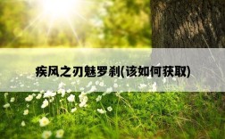 疾風之刃魅羅剎，該如何獲取