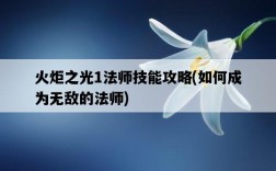 火炬之光1法師技能攻略，如何成為無敵的法師