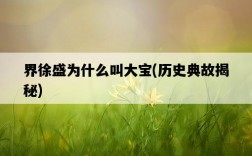 界徐盛為什么叫大寶，歷史典故揭秘