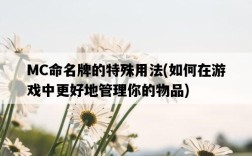 MC命名牌的特殊用法，如何在游戲中更好地管理你的物品