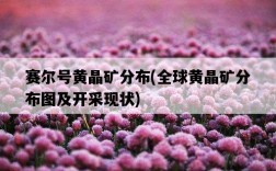 賽爾號黃晶礦分布，全球黃晶礦分布圖及開采現狀