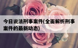 今日說法刑事案件，全面解析刑事案件的最新動態