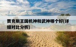 賈克斯王國機神和武神哪個好，詳細對比分析