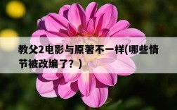 教父2電影與原著不一樣，哪些情節被改編了？