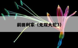 前田利家（無雙大蛇3）