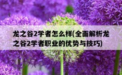 龍之谷2學者怎么樣，全面解析龍之谷2學者職業的優勢與技巧