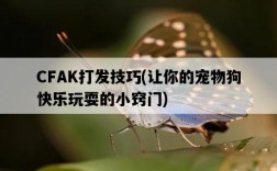 CFAK打發技巧，讓你的寵物狗快樂玩耍的小竅門