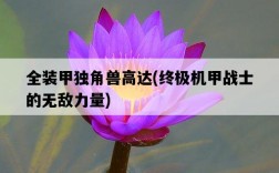全裝甲獨角獸高達，終極機甲戰士的無敵力量