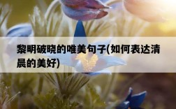 黎明破曉的唯美句子，如何表達清晨的美好