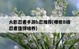 火影忍者手游b忍推薦，哪些B級忍者值得培養