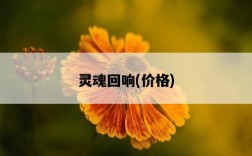 靈魂回響，價格