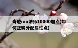 奇跡mu法師10000加點，如何正確分配屬性點