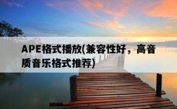APE格式播放，兼容性好，高音質音樂格式推薦