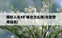 模擬人生4擴展包怎么用，完整使用指南