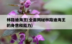 林路迪海王，全面揭秘林路迪海王的身世和能力