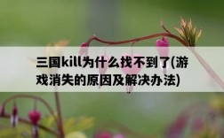 三國kill為什么找不到了，游戲消失的原因及解決辦法