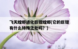 飛天螳螂進化巨鉗螳螂，它的巨鉗有什么特殊之處嗎？