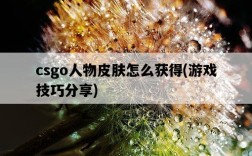 csgo人物皮膚怎么獲得，游戲技巧分享
