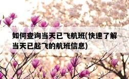 如何查詢當天已飛航班，快速了解當天已起飛的航班信息