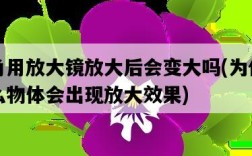 角用放大鏡放大后會變大嗎，為什么物體會出現放大效果