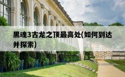黑魂3古龍之頂最高處，如何到達并探索