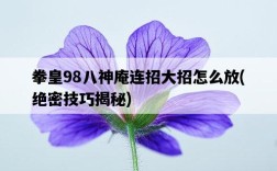 拳皇98八神庵連招大招怎么放，絕密技巧揭秘