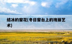 結冰的窗花，冬日窗臺上的瑰麗藝術