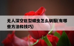 無人深空巨型蠕蟲怎么馴服，有哪些方法和技巧