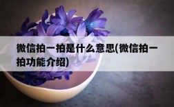 微信拍一拍是什么意思，微信拍一拍功能介紹
