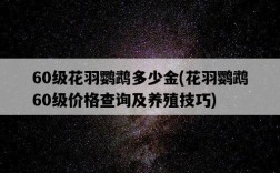 60級花羽鸚鵡多少金，花羽鸚鵡60級價格查詢及養殖技巧