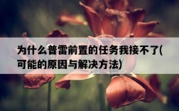 為什么普雷前置的任務我接不了，可能的原因與解決方法
