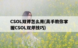 CSOL雙斧怎么用，高手教你掌握CSOL雙斧技巧