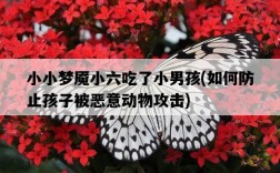 小小夢魘小六吃了小男孩，如何防止孩子被惡意動物攻擊