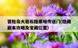 冒險島大巖石路黑暗傳送門，隱藏副本攻略及寶藏位置