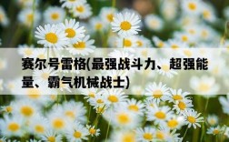 賽爾號雷格，最強戰斗力、超強能量、霸氣機械戰士