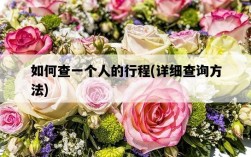 如何查一個人的行程，詳細查詢方法