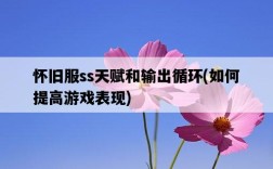 懷舊服ss天賦和輸出循環，如何提高游戲表現