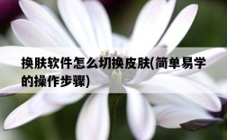換膚軟件怎么切換皮膚，簡單易學的操作步驟