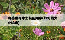 魔獸世界術士技能順序，如何最大化輸出