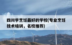 四川學烹飪最好的學校，專業烹飪技術培訓，名校推薦