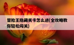 冒險王隱藏關卡怎么進，全攻略教你輕松闖關