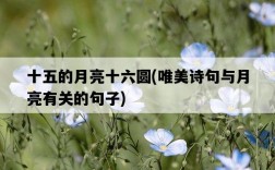 十五的月亮十六圓，唯美詩句與月亮有關的句子