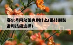 賽爾號阿爾蒂克刷什么，最佳刷裝備和技能選擇