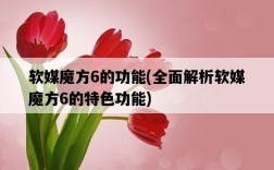 軟媒魔方6的功能，全面解析軟媒魔方6的特色功能