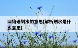 網絡語劃水的意思，解析劃水是什么意思