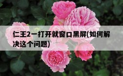仁王2一打開就窗口黑屏，如何解決這個問題