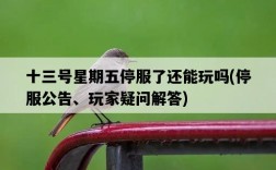 十三號星期五停服了還能玩嗎，停服公告、玩家疑問解答