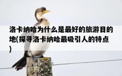 洛卡納哈為什么是最好的旅游目的地，探尋洛卡納哈最吸引人的特點