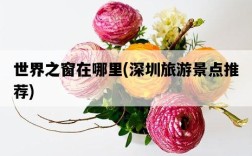 世界之窗在哪里，深圳旅游景點推薦
